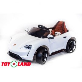 Автомобиль Porsche Sport QLS 8988