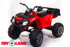 Квадроцикл 0909 Grizzly Next 4x4
